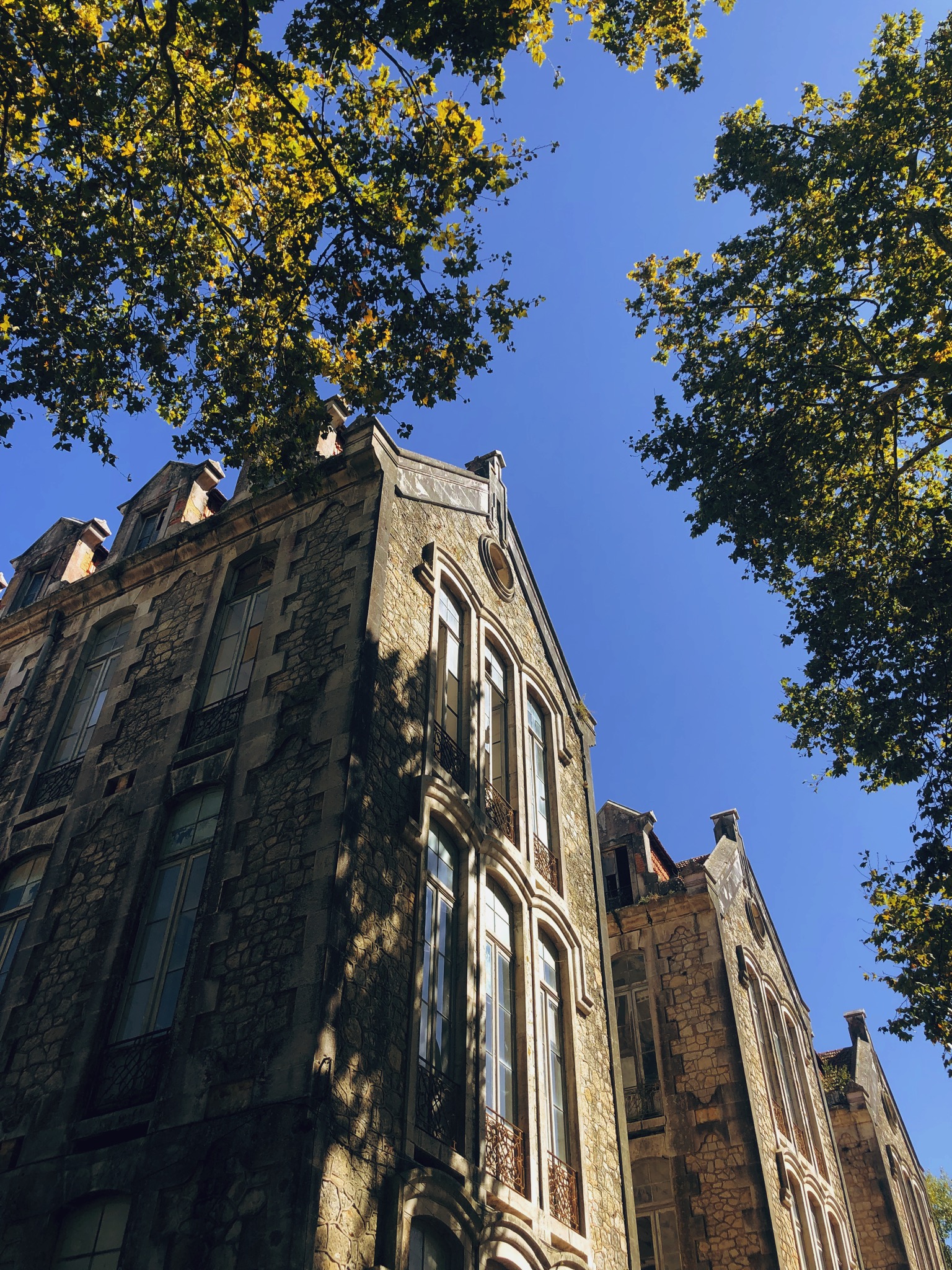 卡洛斯一世公园丨葡萄牙-4