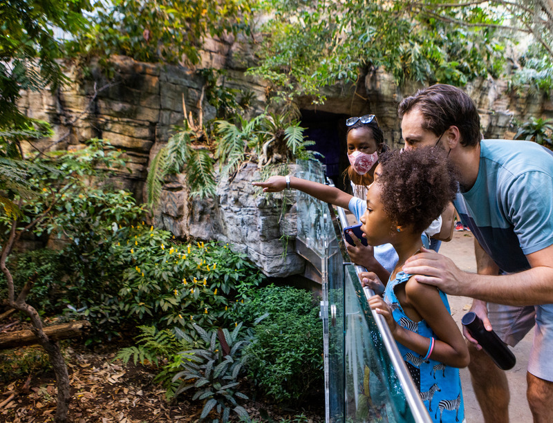 蒙特利尔生物馆改造项目丨加拿大蒙特利尔丨KANVA,与NEUF architect(e)s等合作-84