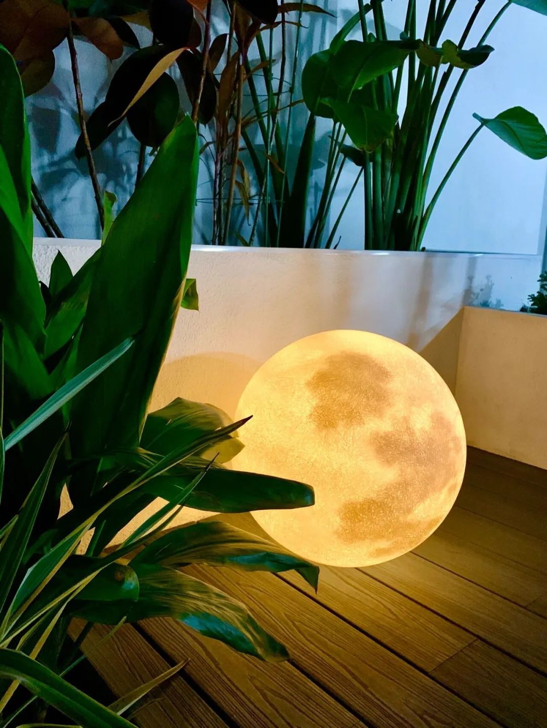 一个没有花的花园，全是绿植的高颜值花园改造，太美了-35