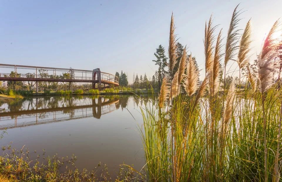 扬州三湾生态中心 | 古运河畔的绿色人文景区-21