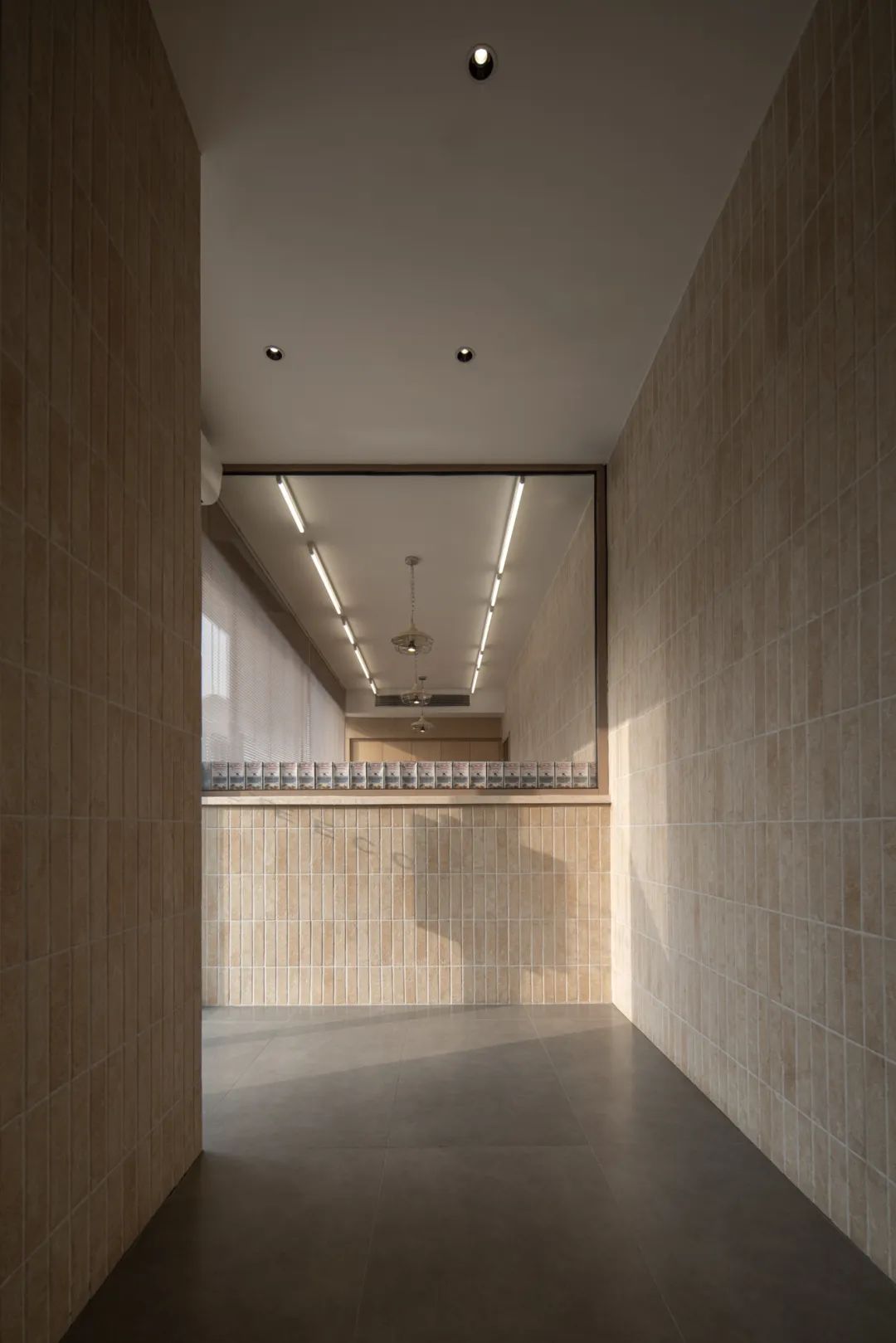 ZEECO吱个｜发酵的生长丨中国沈阳丨白菜设计-25