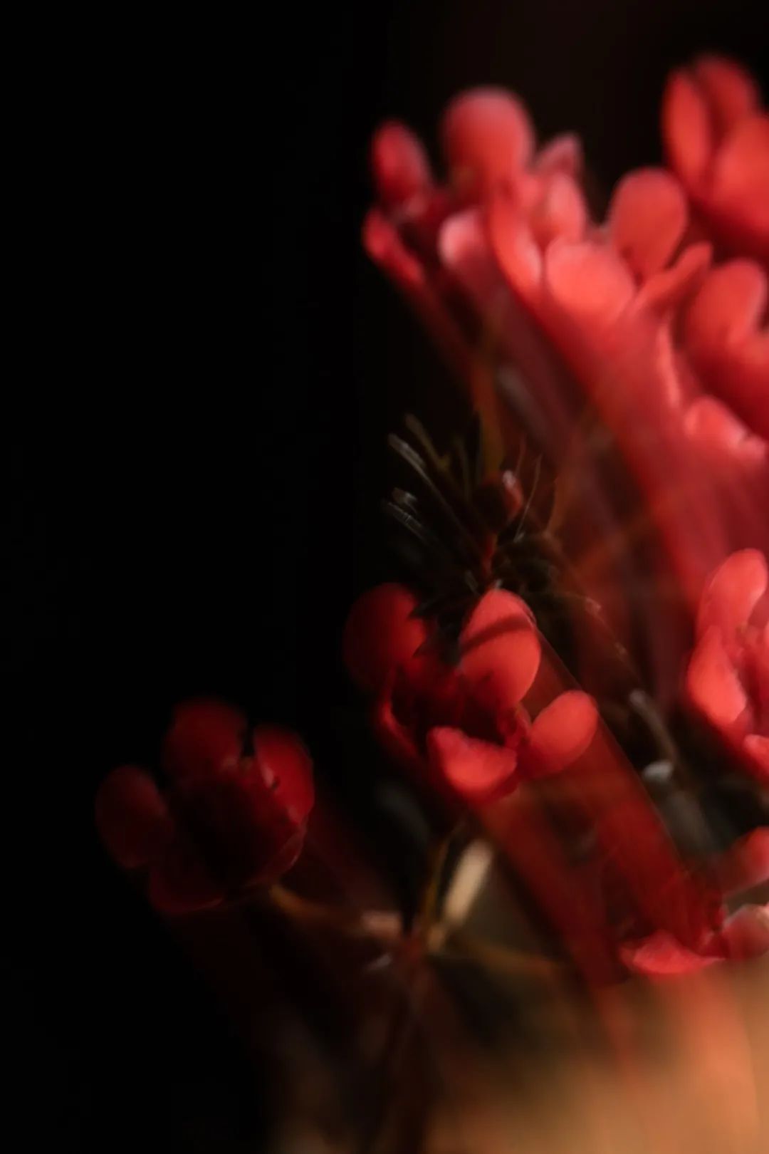 归心·乡愁 · 东坡记忆中的宜兴早春丨誰最中國-71