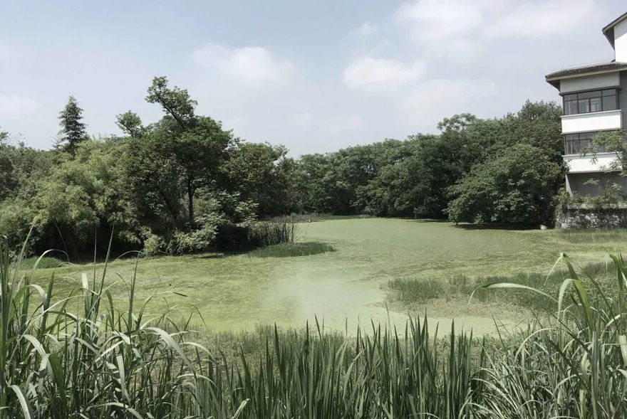 杭州木守西溪酒店-4