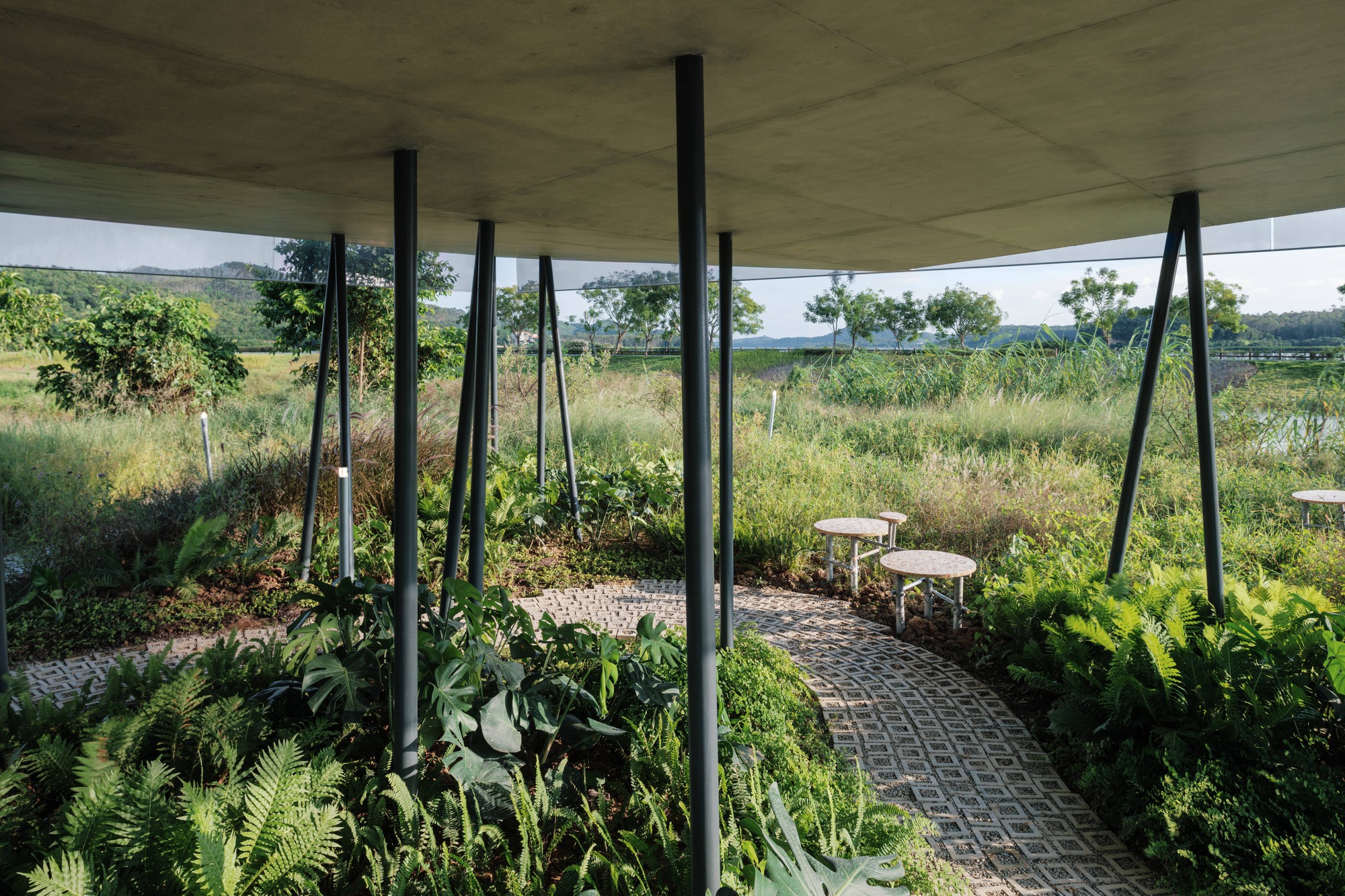 丨中国惠州丨Atelier Guo-51