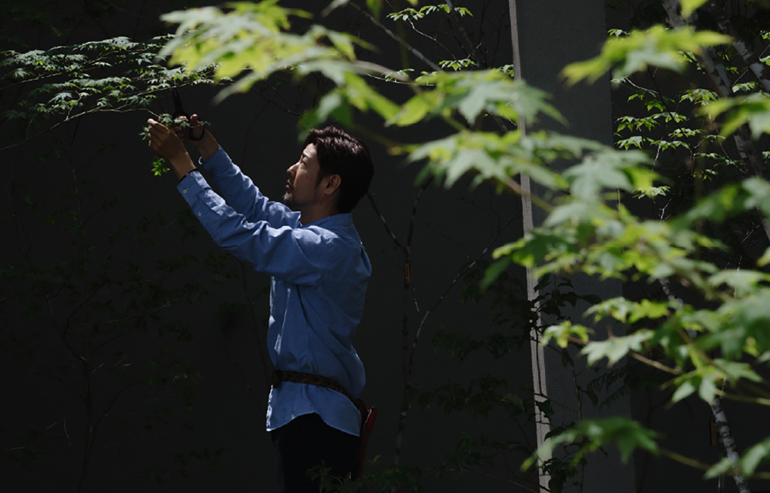 长野之家丨日本长野丨Tomoko Fukayama,熊谷隆-15