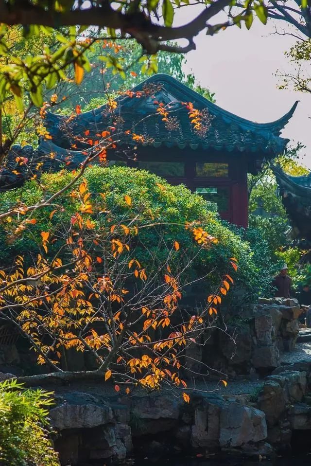 苏州园林秋韵 | 方寸之间见山水-64