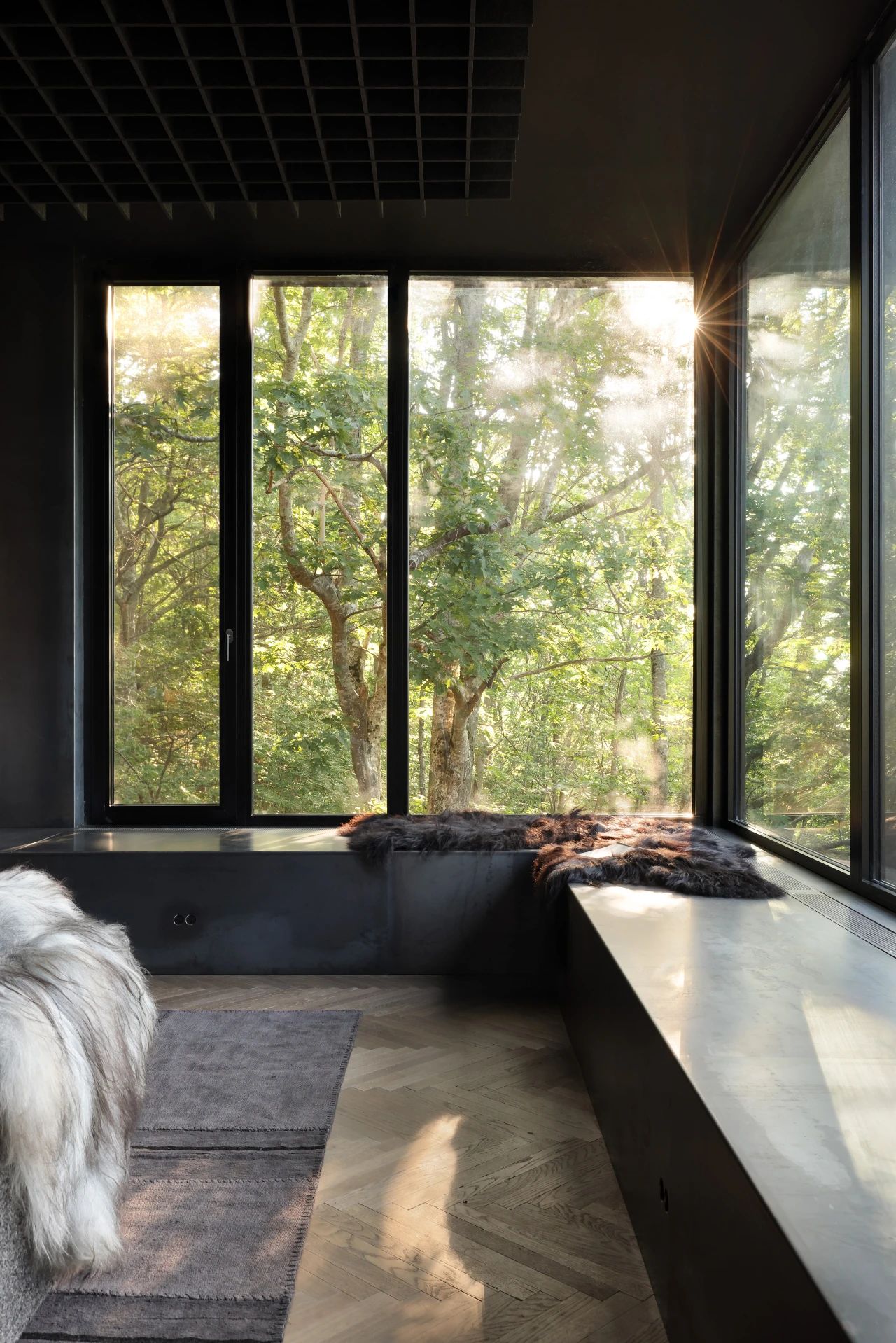 升高的座舱丨加拿大丨Omar Gandhi Architects-19