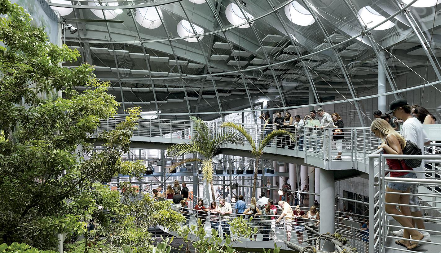 加州科学院新馆 | 绿色环保的设计典范-31