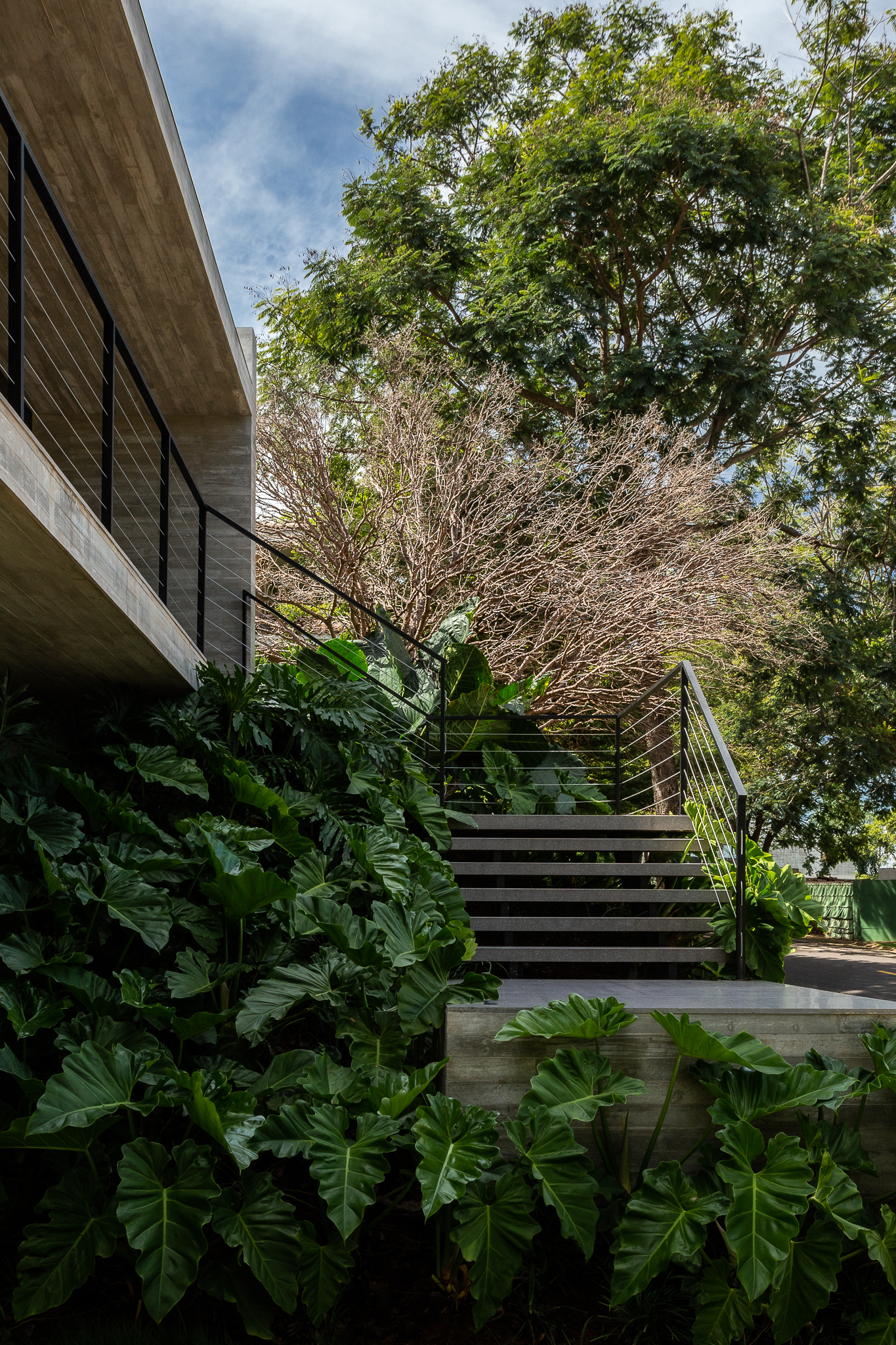 数据库大楼丨巴西丨Aguirre Arquitetura-12