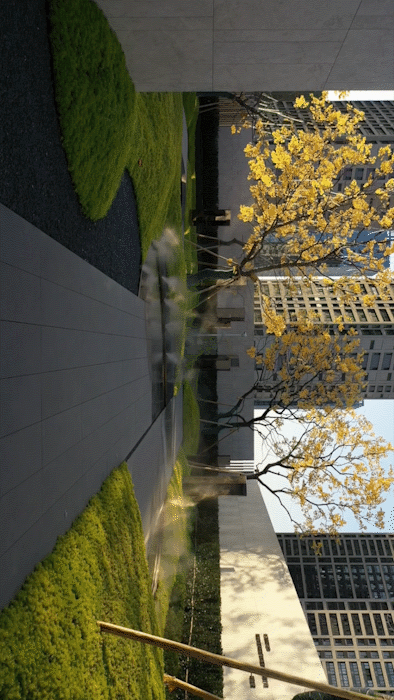 文人笔下的姑苏生活图卷|苏州花语天境-3