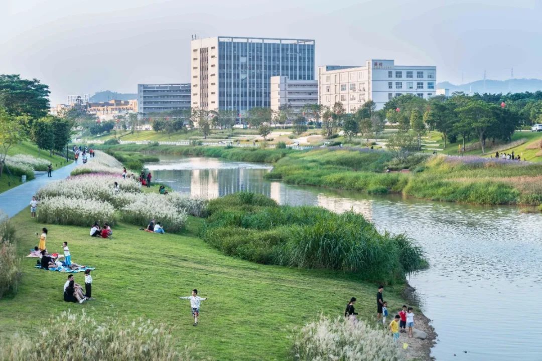 茅洲河碧道·光明段生态修复试点-99