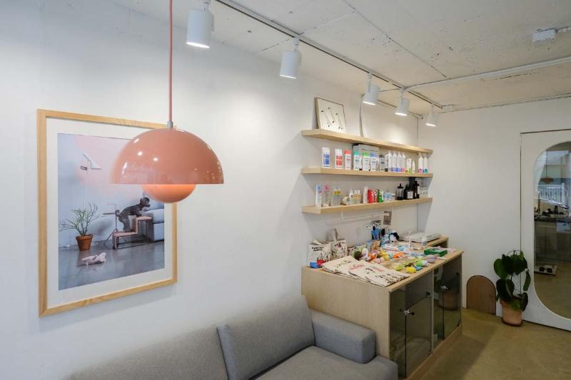 15 平米宠物用品店，简洁明亮的白色调空间设计-10