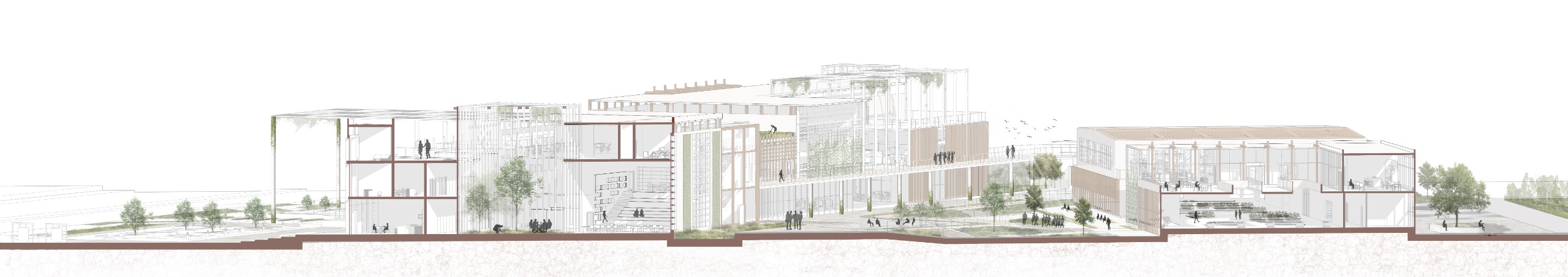 Culinary art complex │ Graduation Project-19