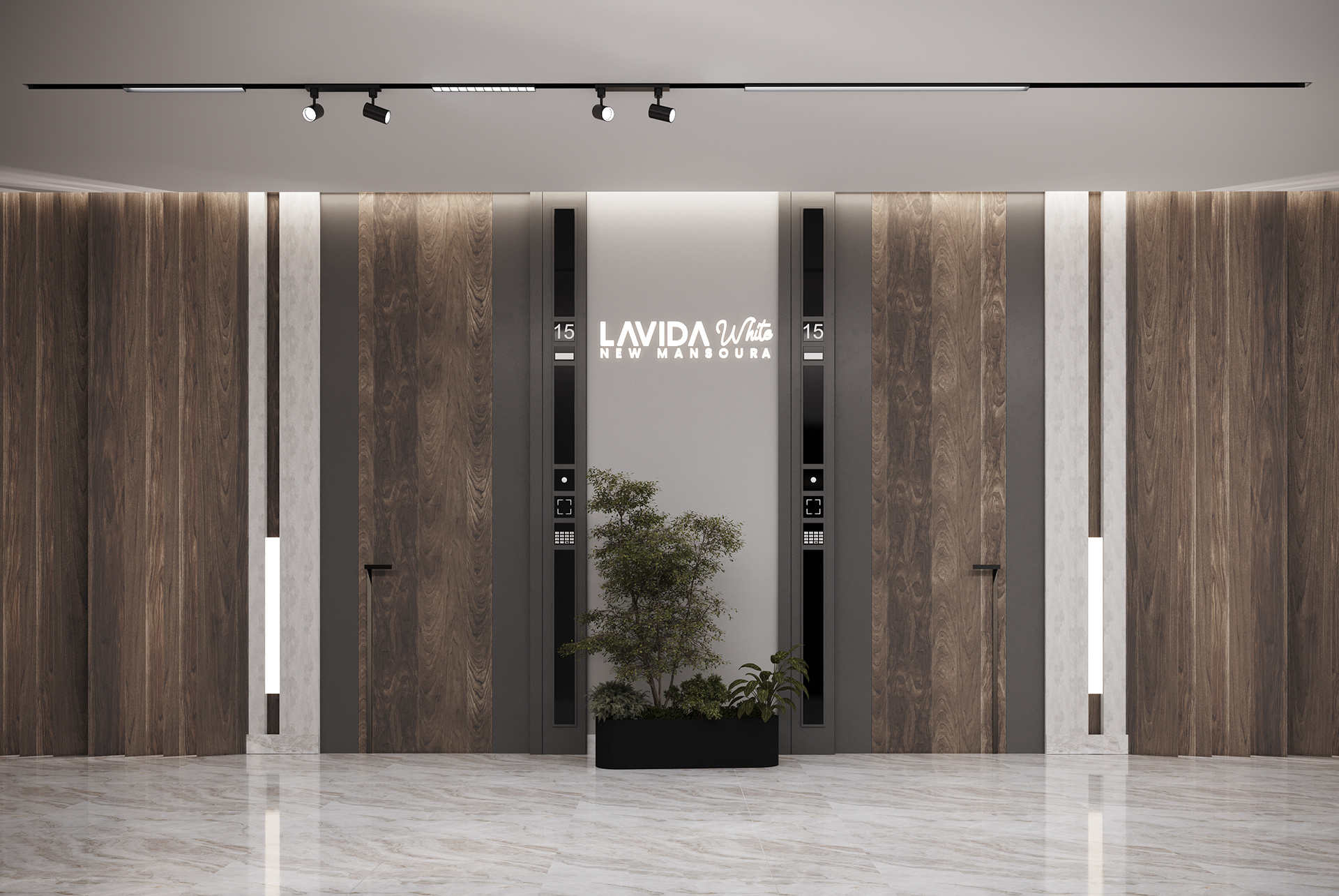 拉维达·怀特·新曼苏拉-27