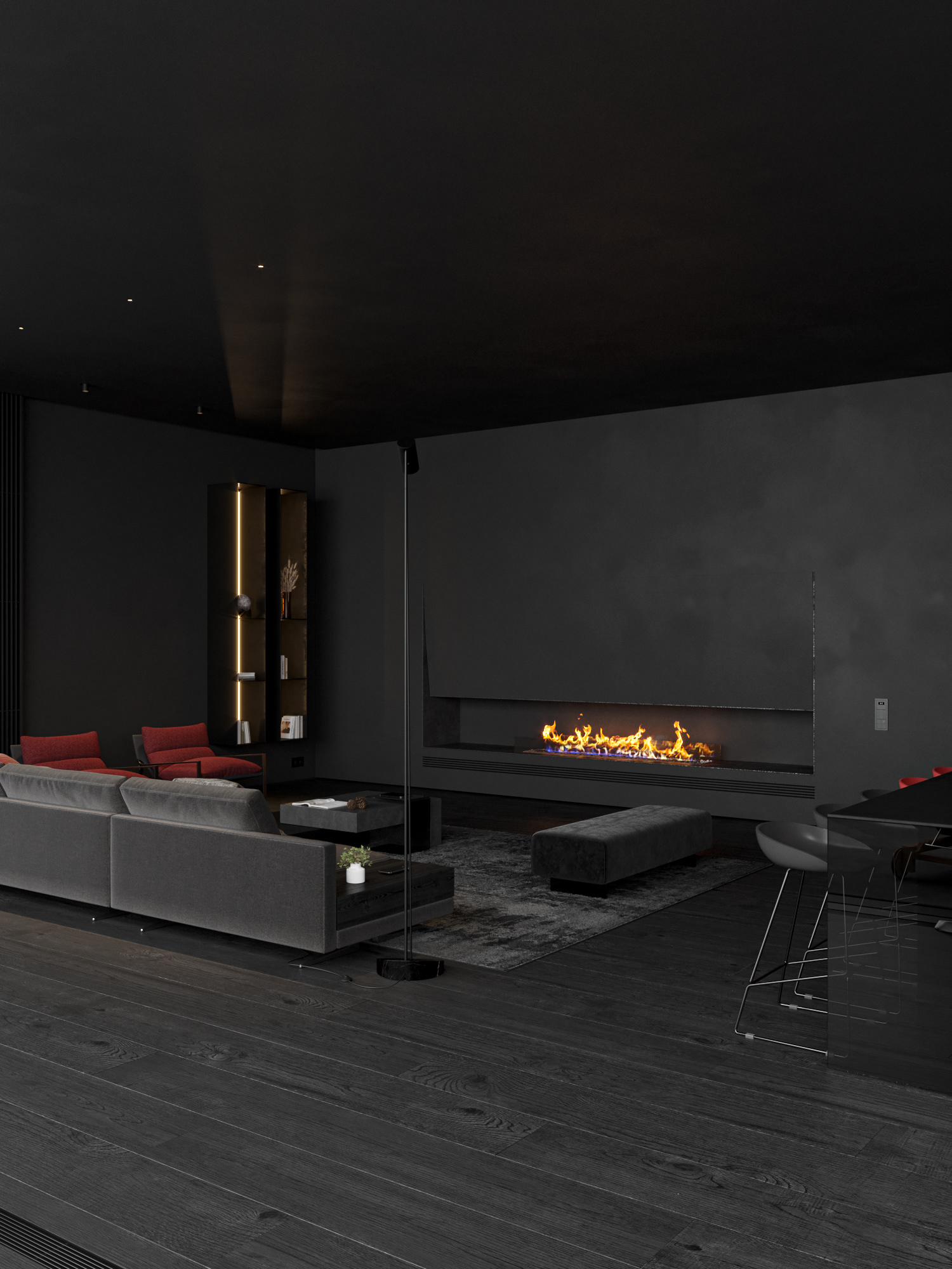 黑色别墅丨Andrey Vladimirov-10