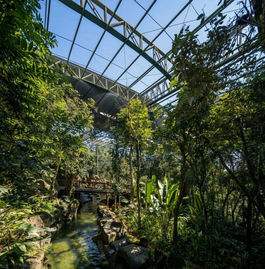 沉浸式动物园设计丨巴西圣保罗丨Alessandro Malara-42