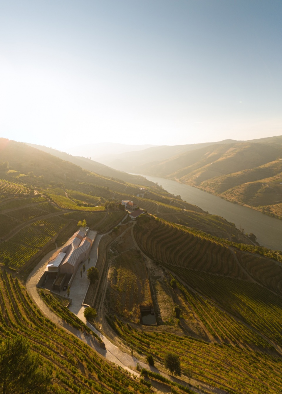葡萄牙Quinta de Adorigo酒庄丨葡萄牙杜罗丨Atelier Sergio Rebelo-13
