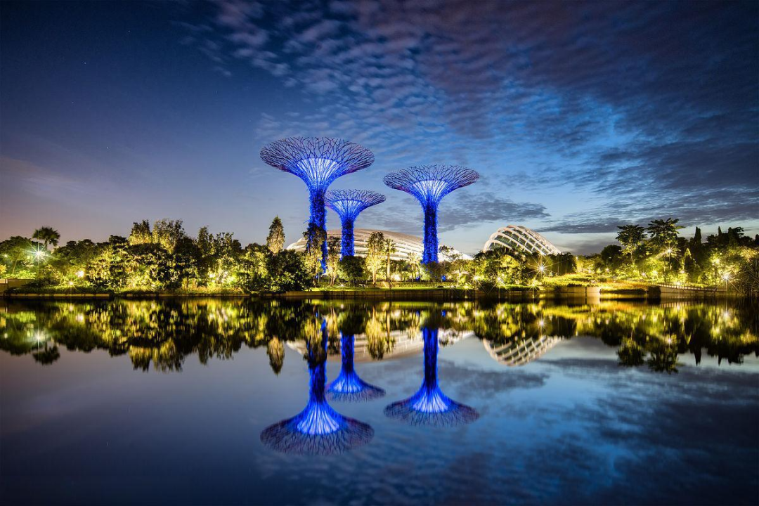 品鉴︱新加坡滨海湾花园超级树：自然与科技的共生奇观-34