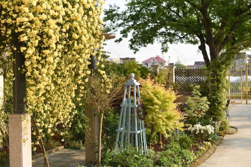 78岁爷爷改造荒废院子,为孙女建起一座花园-11