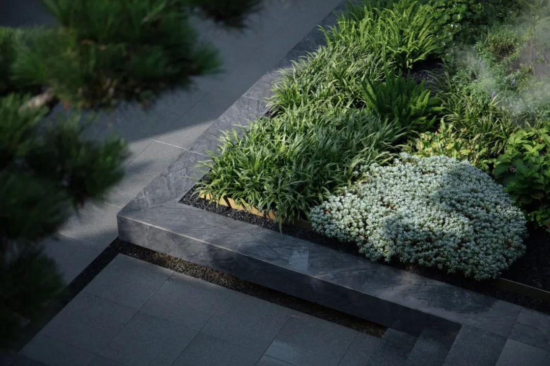 和熙碧影迎明月 | 绿城·沁香园-76