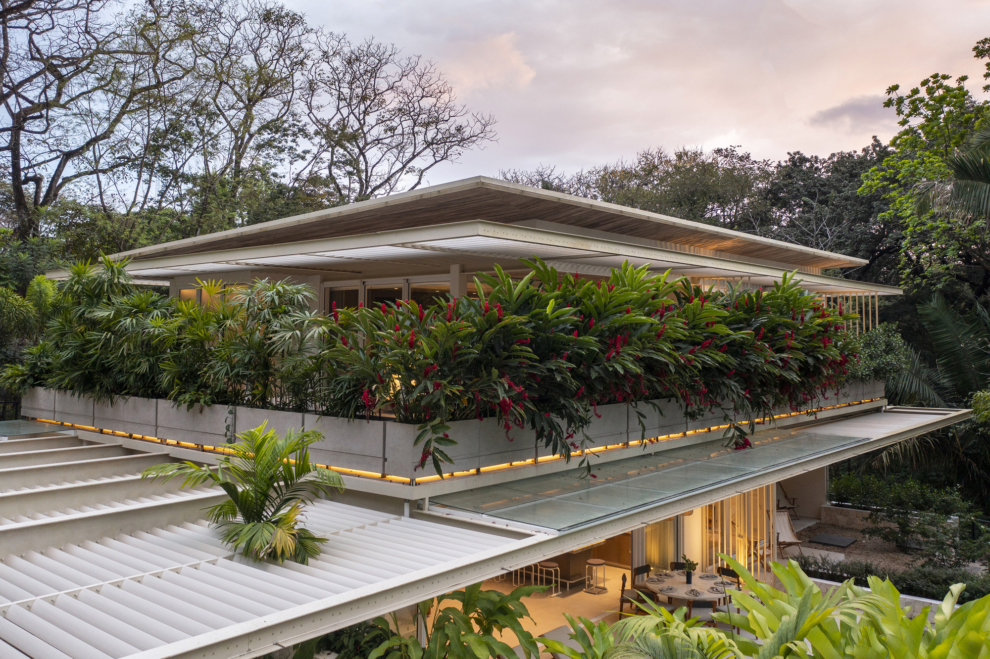 糖屋丨哥斯达黎加丨Studio Saxe-46