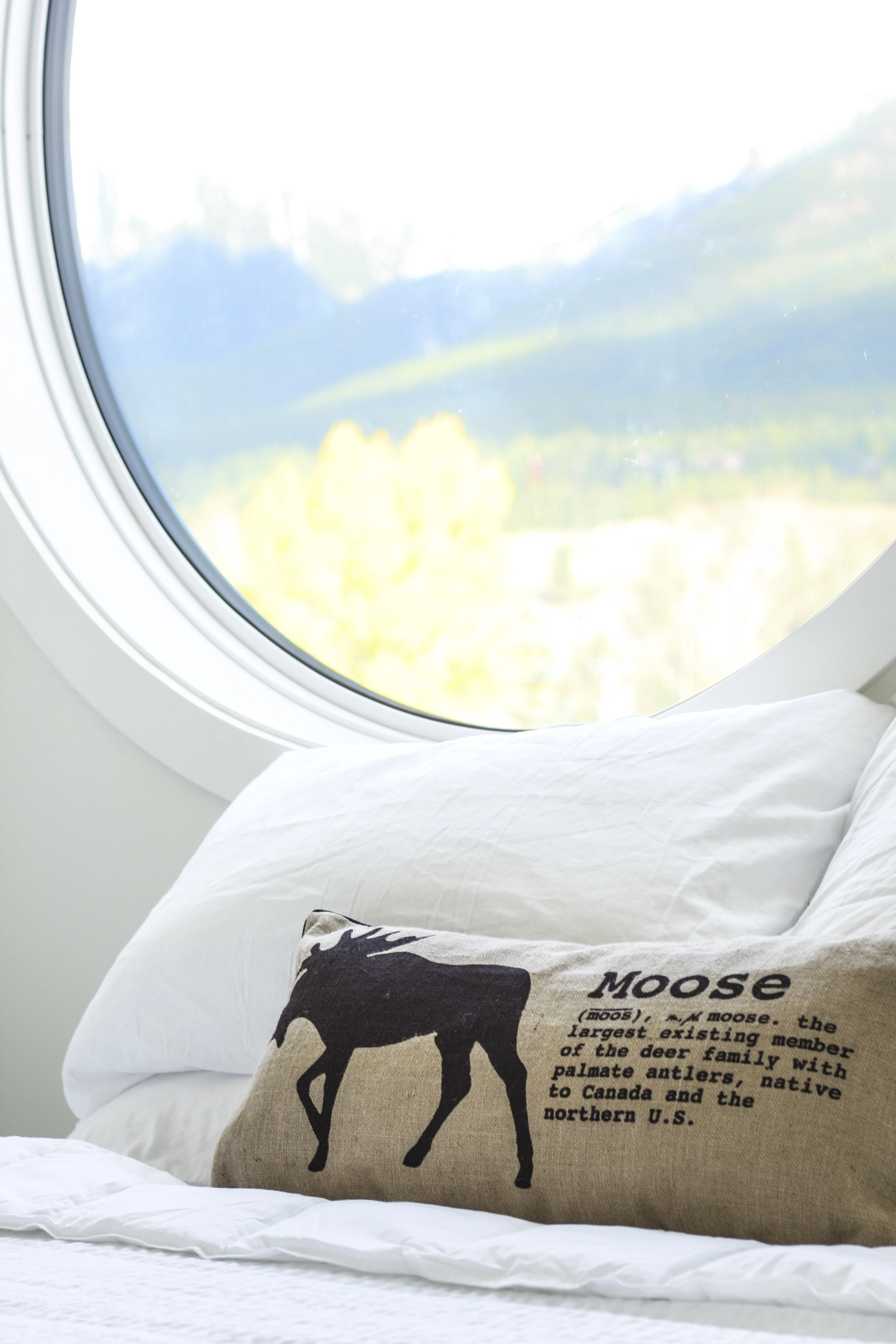 加拿大 Canmore 山间营地-23