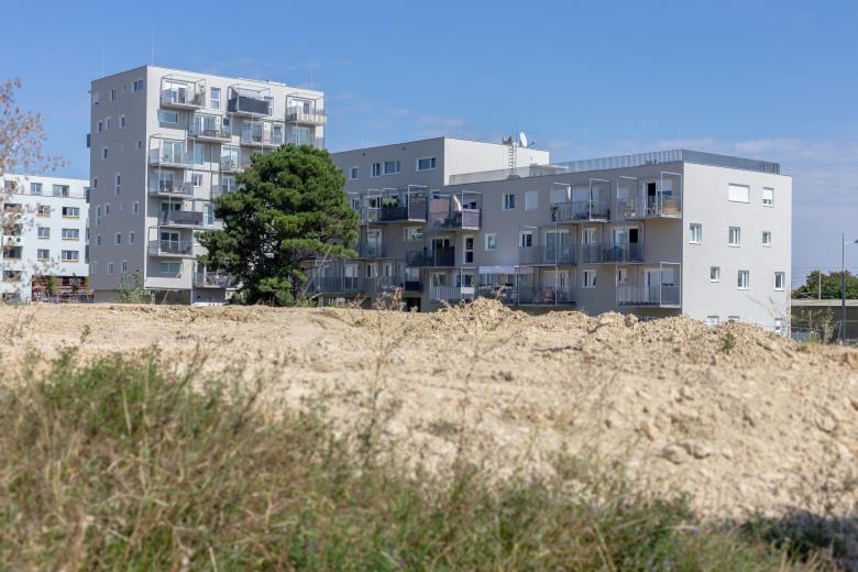 Caramel Architekten丨Mi(e)tgestalten Wildgarten丨奥地利-3