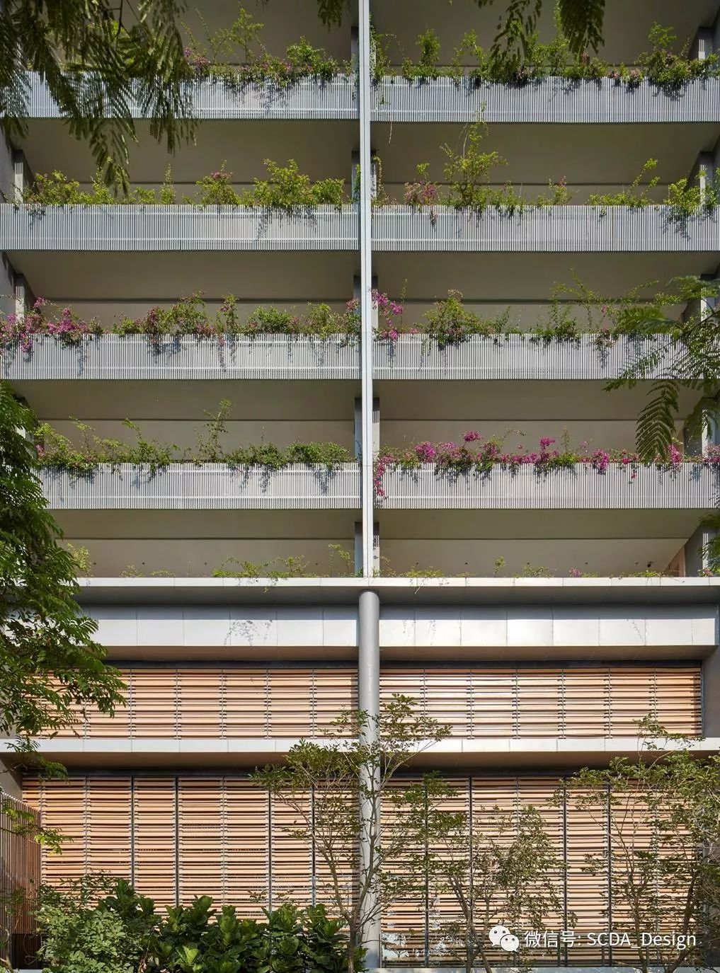 SCDA Architects | 三亚艾迪逊酒店，宏伟与静谧共存-54