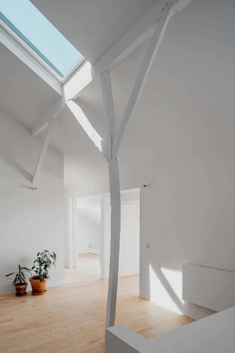 里斯本 Saraiva de Carvalho 公寓丨葡萄牙里斯本丨Aboim Inglez Arquitectos-41