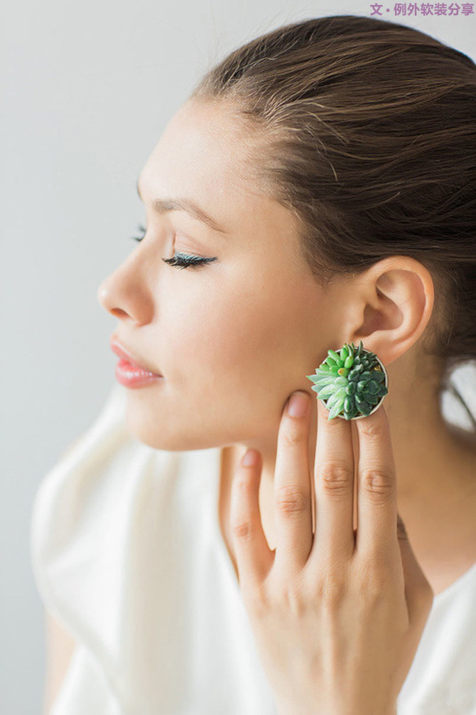 多肉植物的室内设计魅力-15