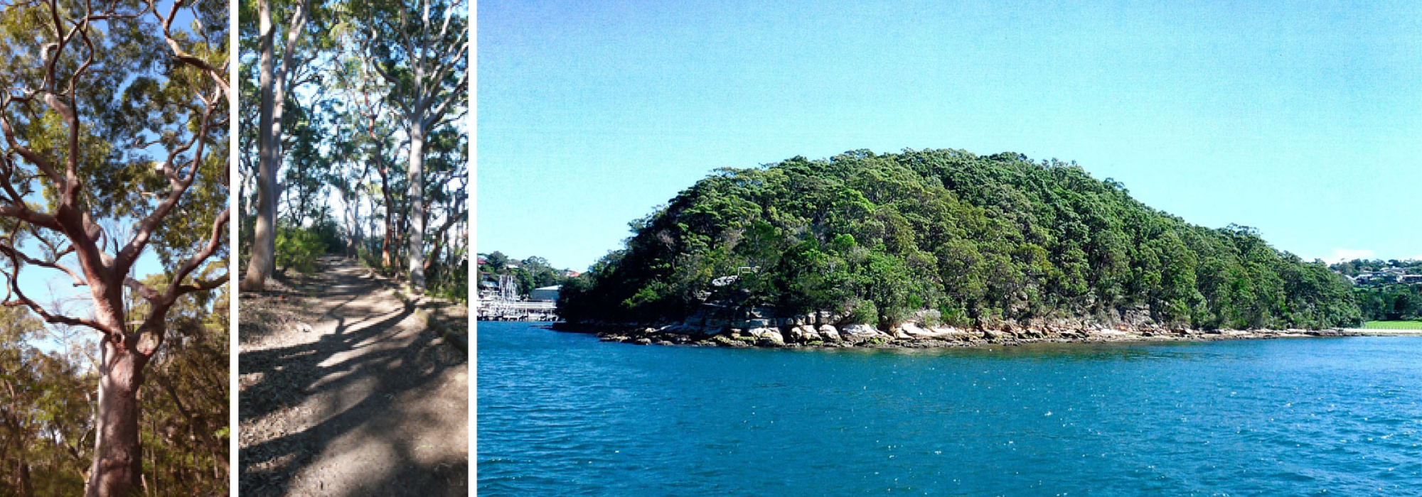 Barangaroo Reserve — PWP-13