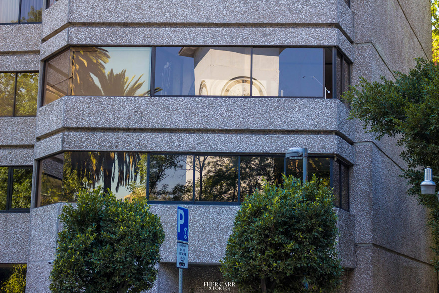 都市中的绿肺 · 林肯公园的艺术与自然-8