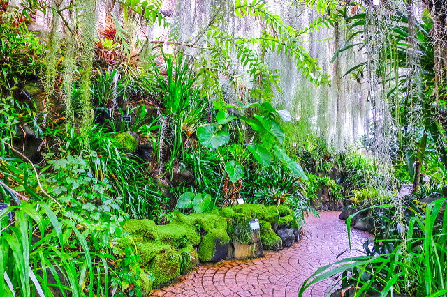 名古屋市东山动植物园之植物园丨日本爱知-45