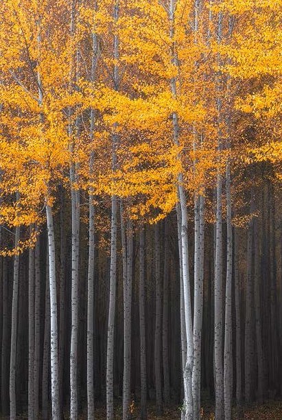 丨美国波特兰-31