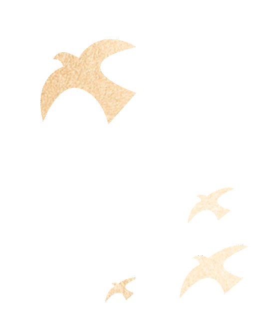 1.3亿!博大中标新疆克拉玛依市城南学校建设项目装饰及安装工程-10