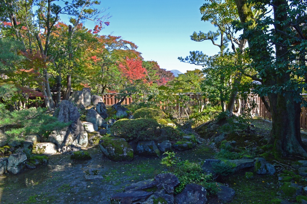 旧时气韵，现代延承 | 植彌加藤-112