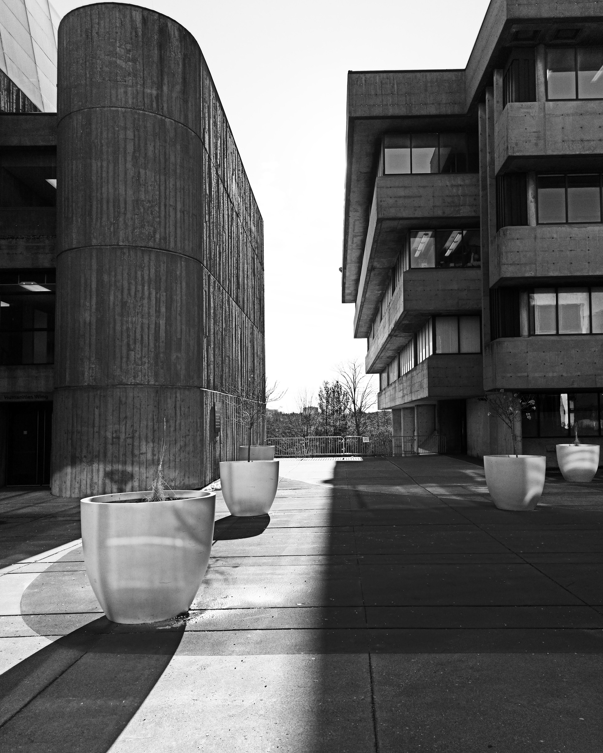 UofT - scarborough-4