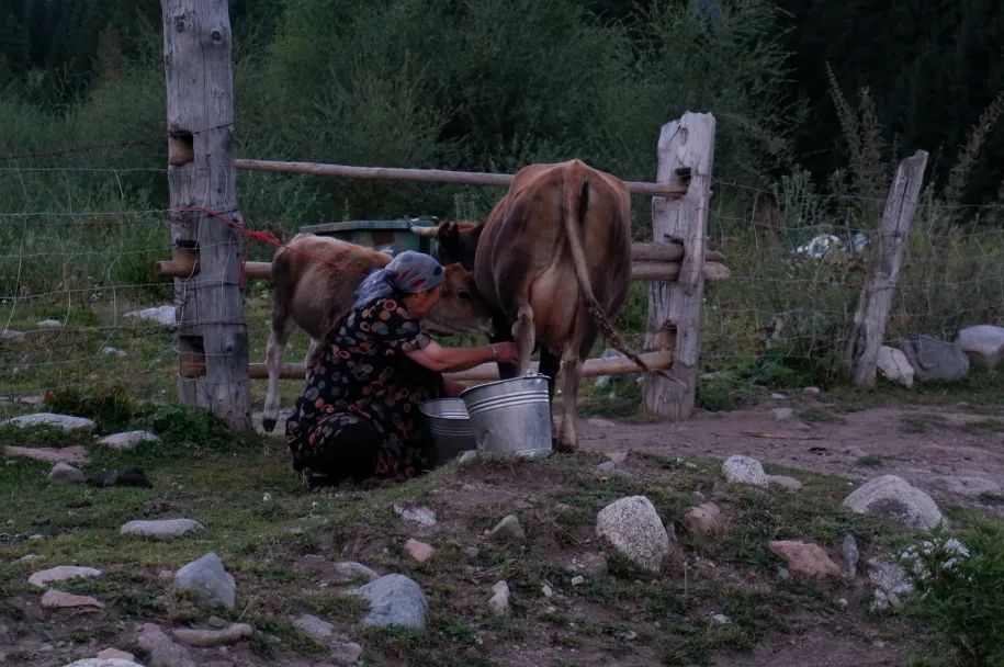 琼库什台宿集丨中国新疆-87