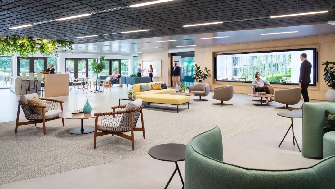 组织社交网络可视化 · 助力房地产行业空间决策丨Gensler-0