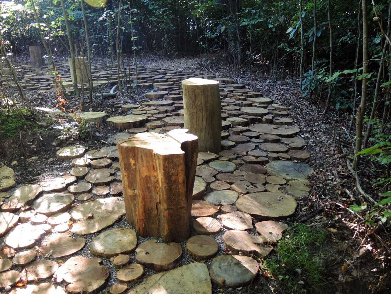 乌斯特市 Wildwood 自然林地广场 | 景观与功能的完美融合-8