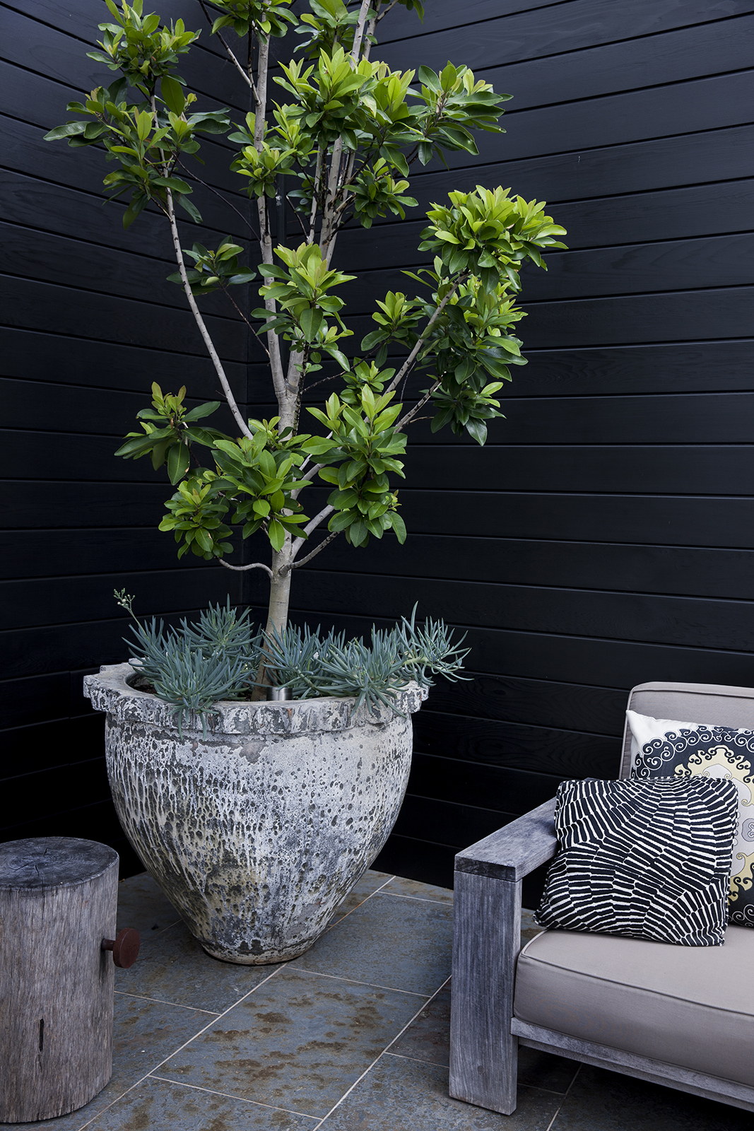 FEATURE - Better Homes & Gardens — Adam Robinson Design-10