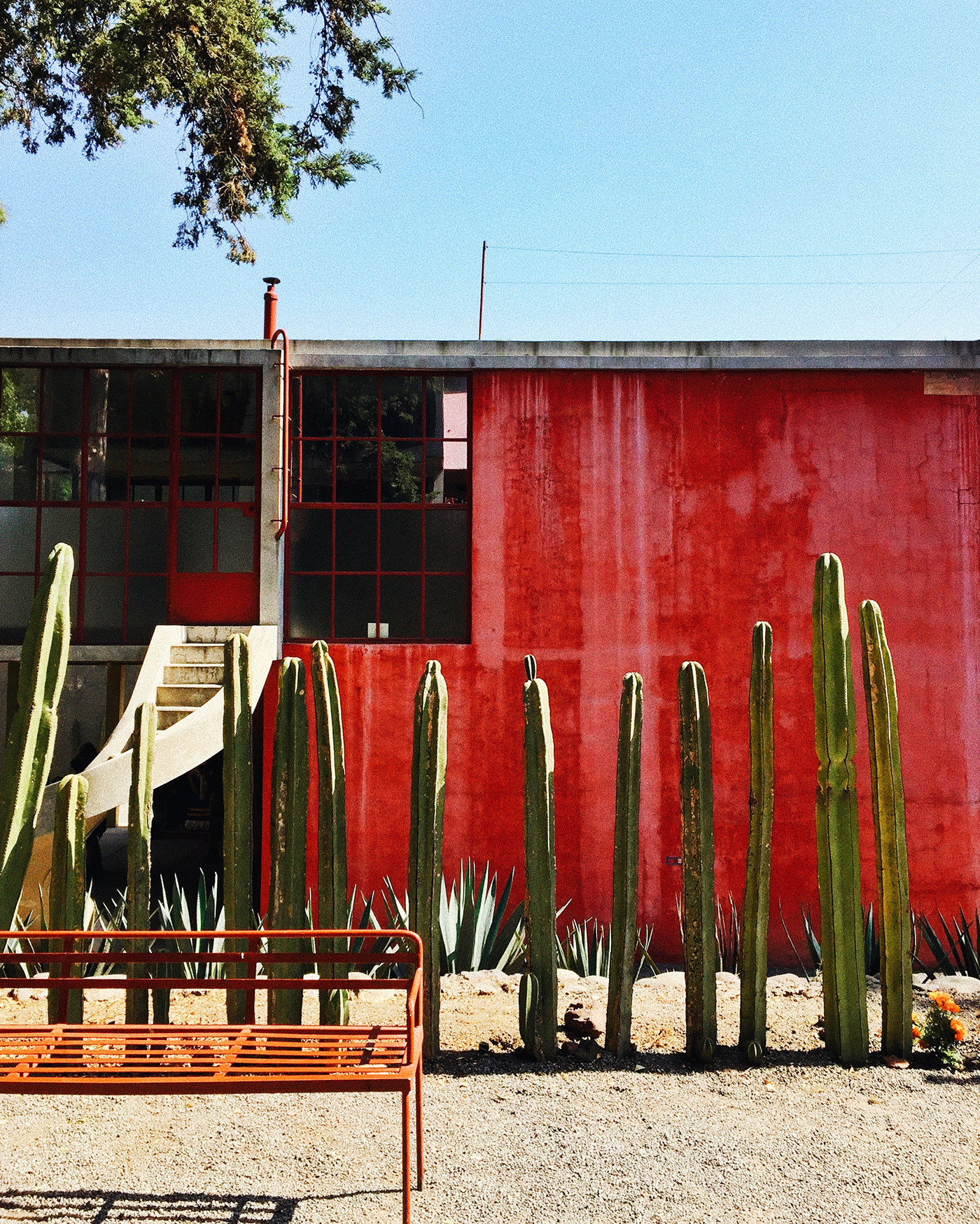 Museo/casa de Frida Kahlo y Diego Rivera-0