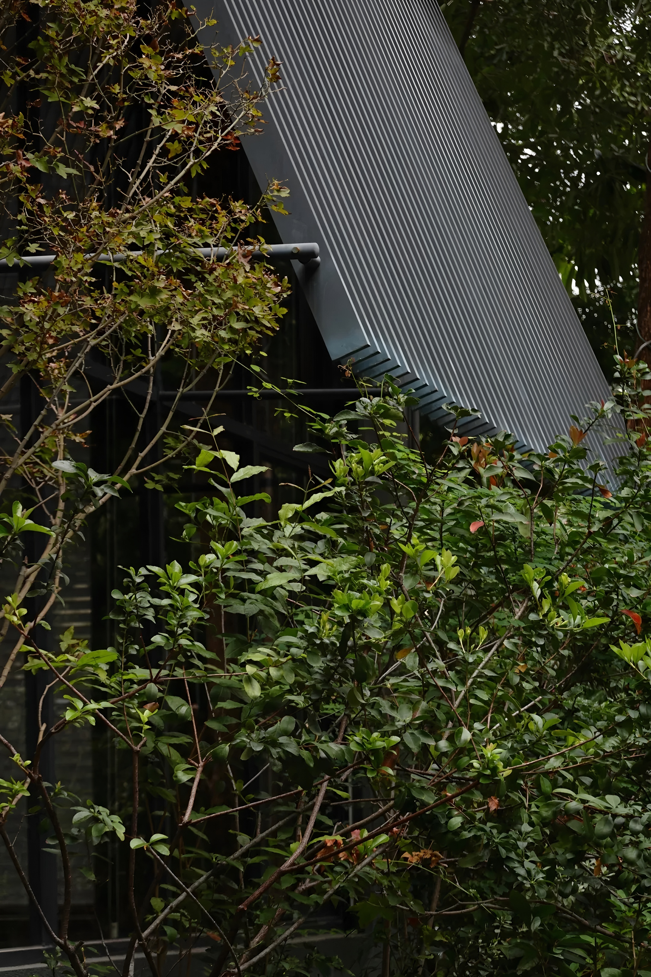 深圳茅台鉴藏馆丨中国深圳丨BLOOMDESIGN绽放设计-3