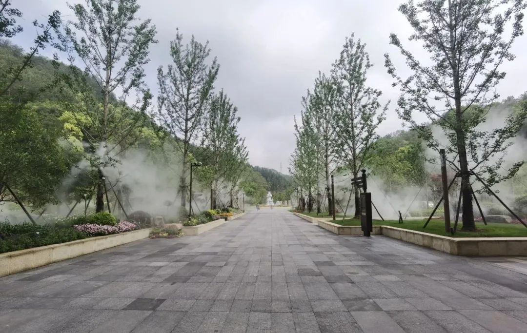 华东药用植物园丨中国丽水丨上海市园林设计研究总院-17