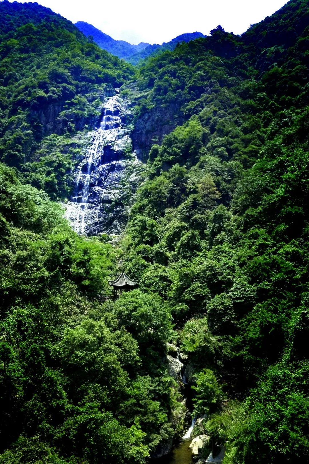 庐山桃花源景区名茶名泉节效果提升 | 打造茶禅一味的美景-56