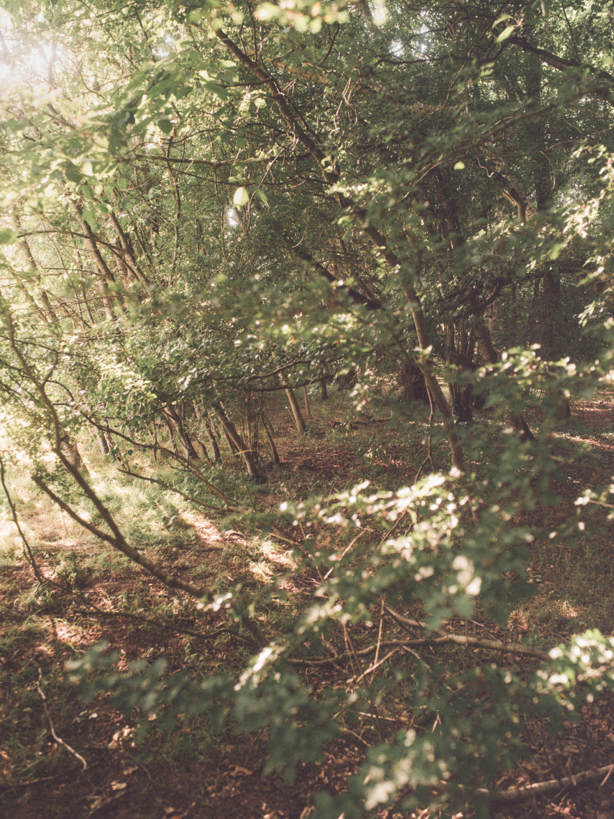 丨英国丨Apricot Square-27