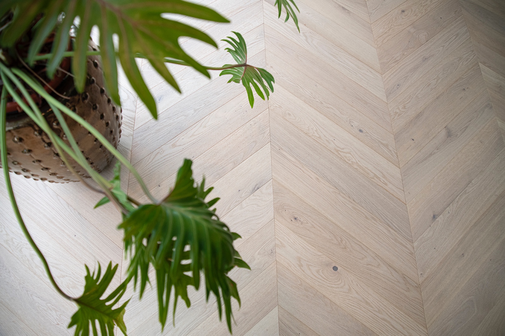 Lichte hongaarse punt in speels interieur-20