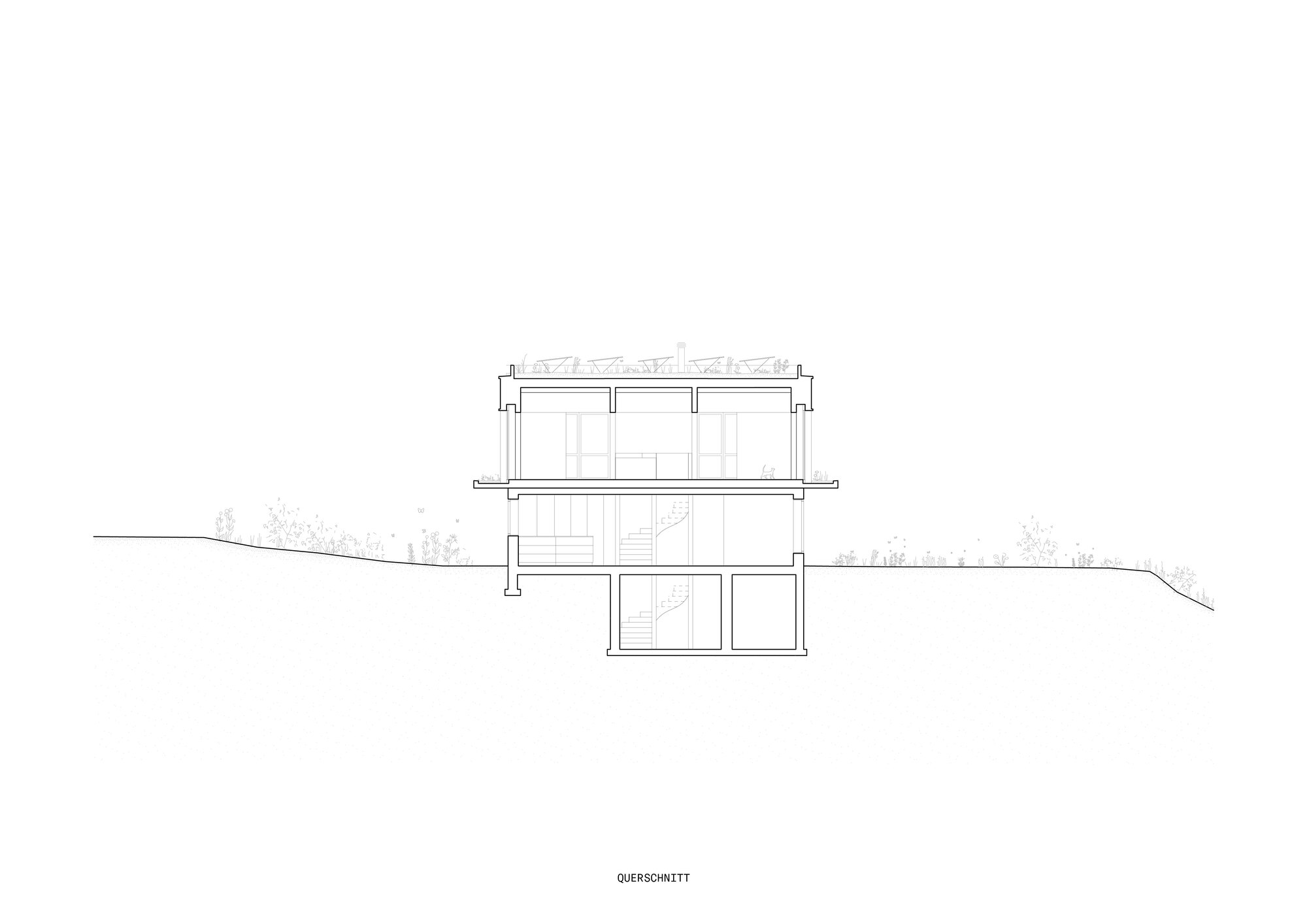 带有三个花园的房子丨Allen + Crippa-15