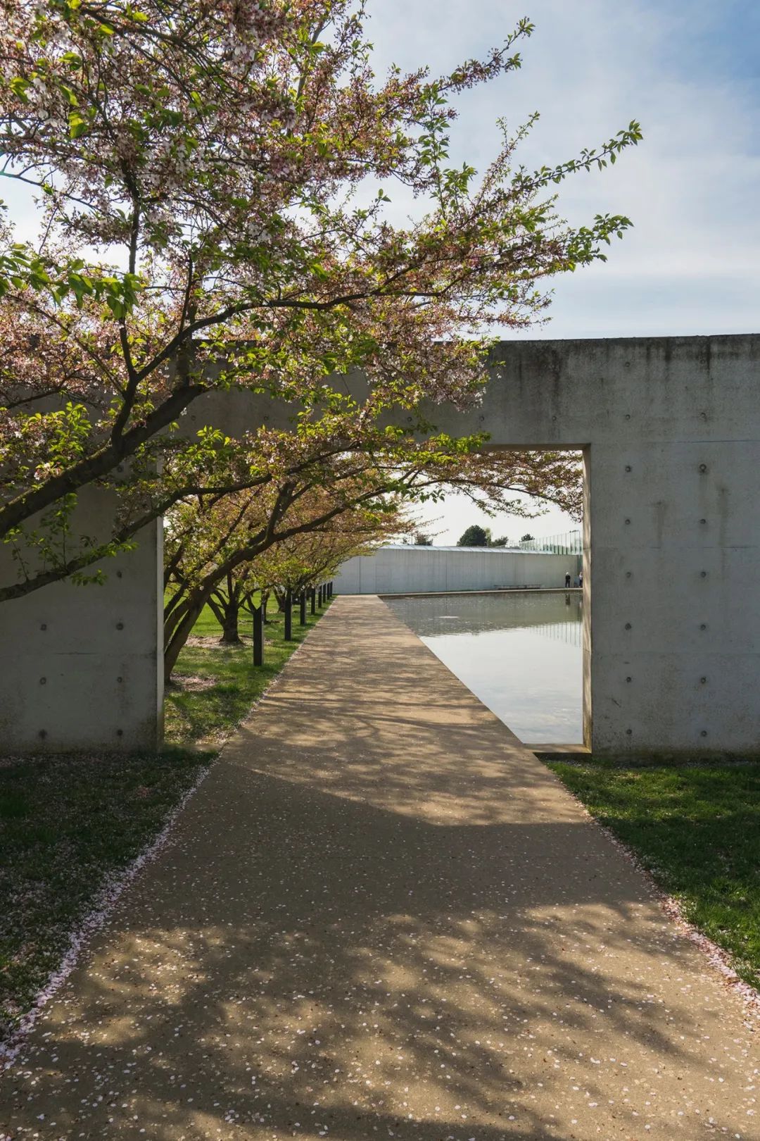 安藤忠雄的建筑作品丨安藤忠雄建筑工作室-131