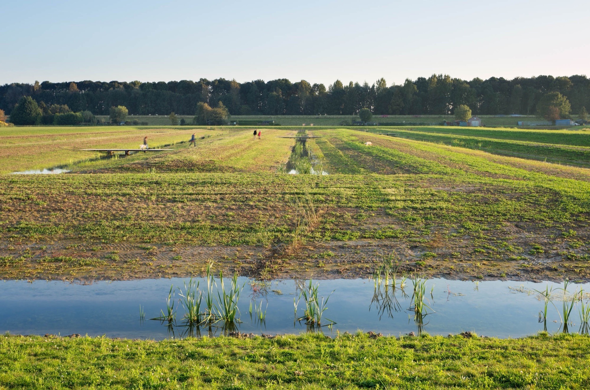 荷兰南圩田景观公园丨荷兰鹿特丹丨Arcadis-12